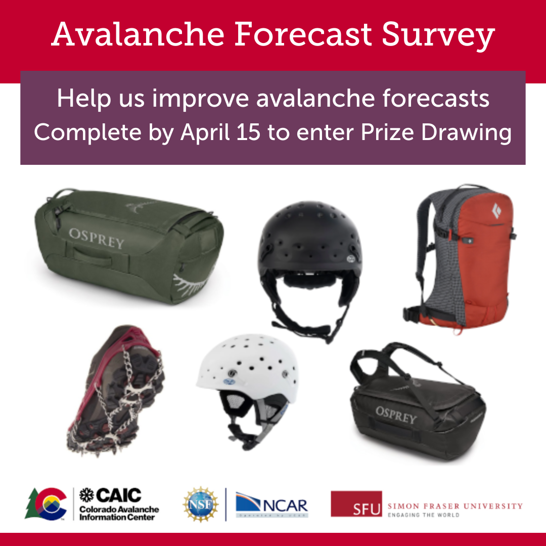 Avalanche Forecast Survey graphic