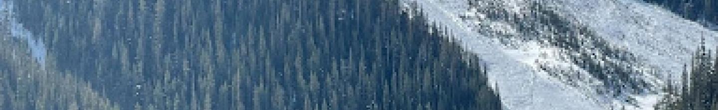 A very large avalanche triggered with explosives in the San Juan Mountains near Silverton.