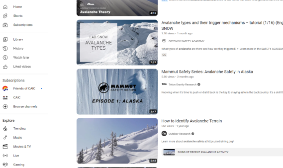 Online Avalanche Resources