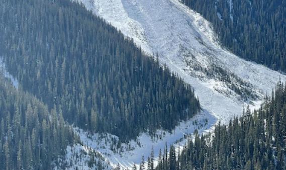 A very large avalanche triggered with explosives in the San Juan Mountains near Silverton.