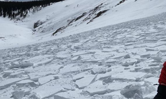 Looking down a slope of chunky avalanche debris. 