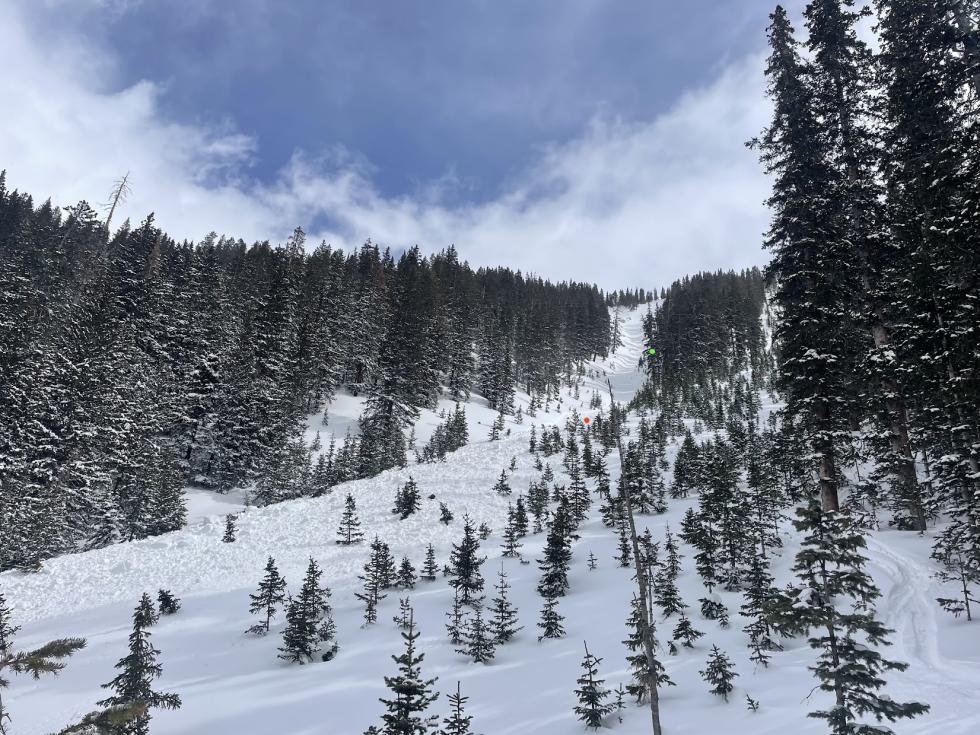 Avalanche debris between two forested areas with a red and a green dot indicating where a skier was caught and came to rest. 